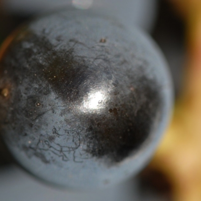 Cabernet Sauvignon ANT 1840